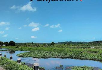 Dr Minu s Ayurvedic homestay has Balcony rooms