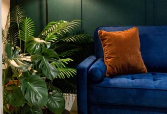 The Jungle! House with Hot Tub. has rooms with a private hot tub