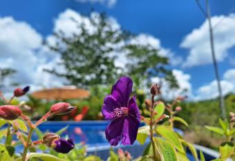 Golfodulcerenting has rooms with a private hot tub