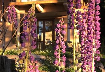 CasaSur- 37Robles has Balcony rooms