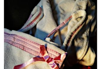 Casa Spa El Capricho de Miguel has rooms with a private hot tub