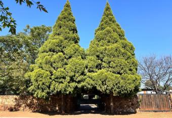 Two Firs Irene allows 18 year olds to book a room