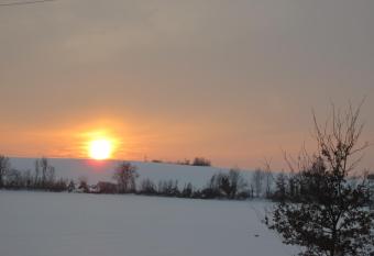 B&B La Gatta has Balcony rooms
