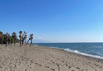 Rent Apartment Losi allows 18 year olds to book a room