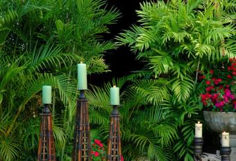 Almond Tree Hotel Resort has Balcony rooms