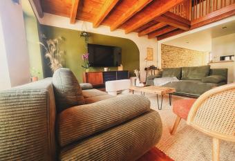 G  te & studio pour 12 personnes avec spa privatif proche de Kaysersberg has rooms with a private hot tub