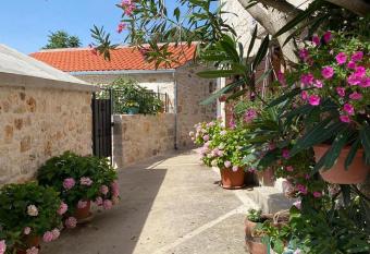 Villa Rosa has Balcony rooms