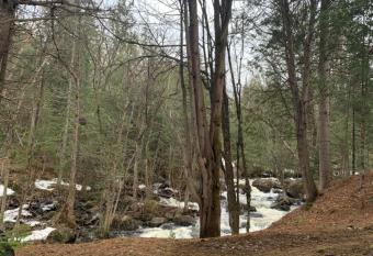 Chalet Rawdon Route 125 has Balcony rooms