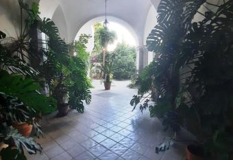 La casa delle Camelie has Balcony rooms