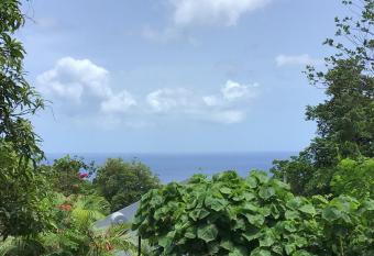 Bellevue allows 18 year olds to book a room