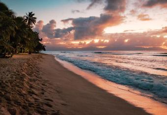 Villa Minerva Studio Proche de la Plage has Balcony rooms
