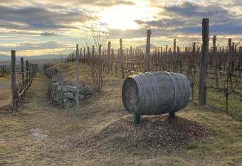 Ferienwohnung Langenlois has Balcony rooms