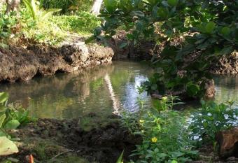Piscina Natural on the Sea allows 18 year olds to book a room