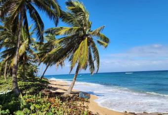 White Paradise Seaside Haven Relax and Unwind has Balcony rooms