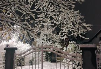 Le Marronnier, parking, fibre wifi,    20 minutes de Colmar Centre, vue sur montagne et espaces verts, au calme has Balcony rooms