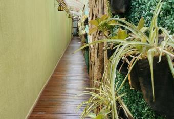 Garden Loft allows 18 year olds to book a room