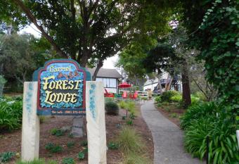 Forest Lodge has Balcony rooms