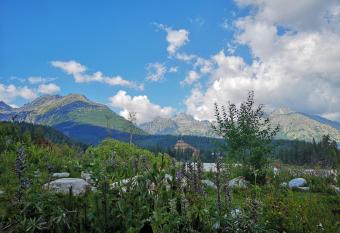 Apartment High Tatras has Balcony rooms