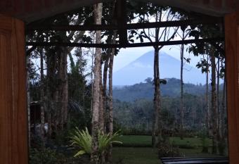 BaliTrekk Boutique Hotel has Balcony rooms