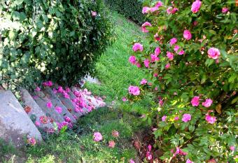 Guest house Cascina Belsito allows 18 year olds to book a room