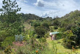 La cometa verde has Balcony rooms