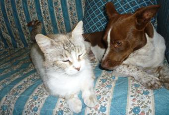 Su Trabi B&B has Balcony rooms