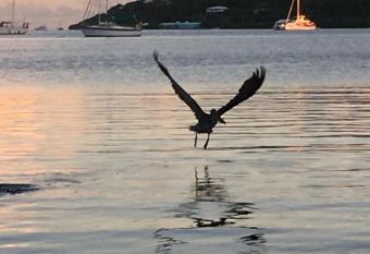 Naniqui Cottage - Adults Only - Parking Golf Car Only has Balcony rooms