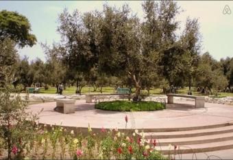 B&B El Olivar allows 18 year olds to book a room