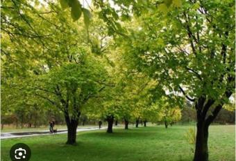 Beautiful garden in Melbourne east has Balcony rooms