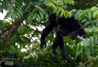 Hotel de Campo Ca  o Negro has Balcony rooms