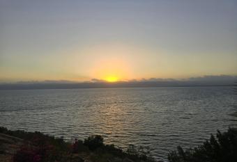 Deadsea Samarah Resort has Balcony rooms