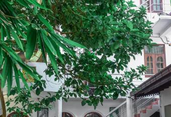 SAKURAHANA VILLA AND AYURVEDA has Smoking/Balcony rooms