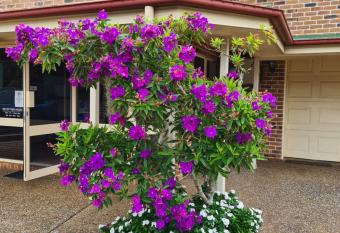 Country Gardens Motor Inn has rooms with a private hot tub