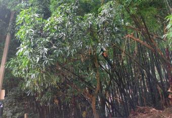 Complejo Semi-campestre cerca a Universidad San Buenaventura has Balcony rooms