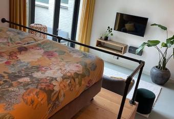 Luxurious appartement with sauna and kitchen in center of Dordrecht has Balcony rooms