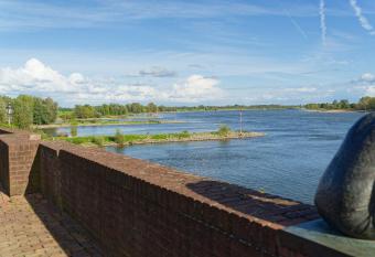 Ferienwohnung Little Dragon - Rheinblick allows 18 year olds to book a room