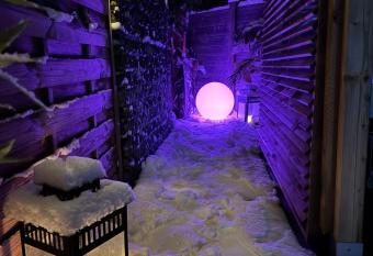 G  te Studio Alsa 15 avec Jacuzzi privatif has rooms with a private hot tub