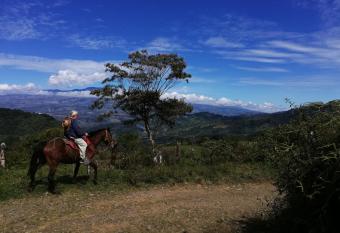 Finca Queveri has Balcony rooms