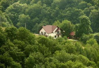 Pensiunea 7 Brazi has Balcony rooms