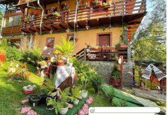 Pensiunea Alexandra & Diego has Balcony rooms