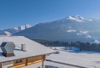 Premium Apartments XL has Balcony rooms