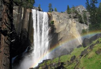 Yosemite Condominium has Balcony rooms
