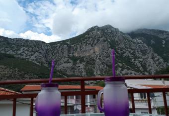 Apartments Vitic has Balcony rooms