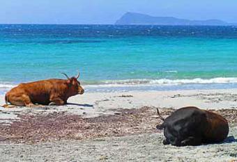 Tanca is Torus has Balcony rooms