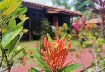 Hotel Canto de Ballenas has Balcony rooms