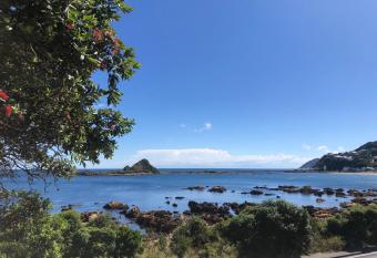 Seafront Haven in Island Bay with Deck, Outdoor Bath, and Parking has Balcony rooms