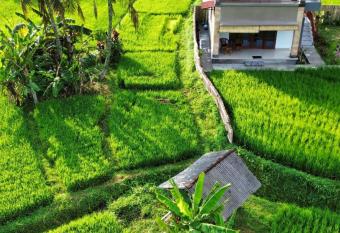 Tirta Unda Sidemen has Balcony rooms