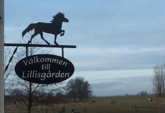 L  genhet Lillisg  rden allows 18 year olds to book a room