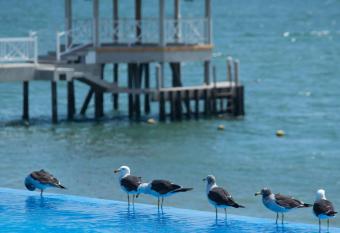 Apartamento Frente a Islas Ballestas has Balcony rooms