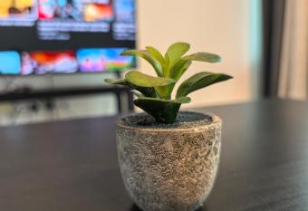 Royal Comfort Suite Meritus near swimming pool has Balcony rooms